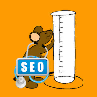 Experimento SEO