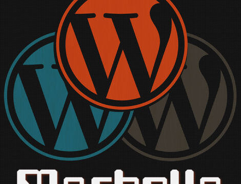 WordPress Meetup Marbella