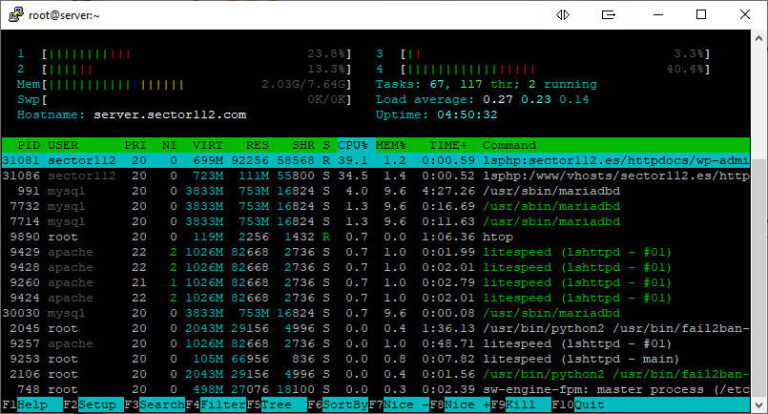 htop en ssh