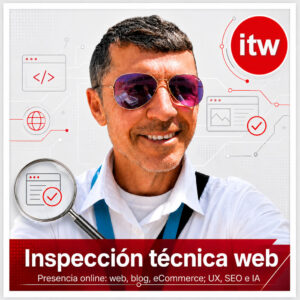 Inspeccion tecnica web