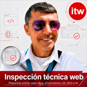Inspección técnica web